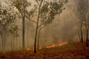 Fires From Back Burning in Kakadu 